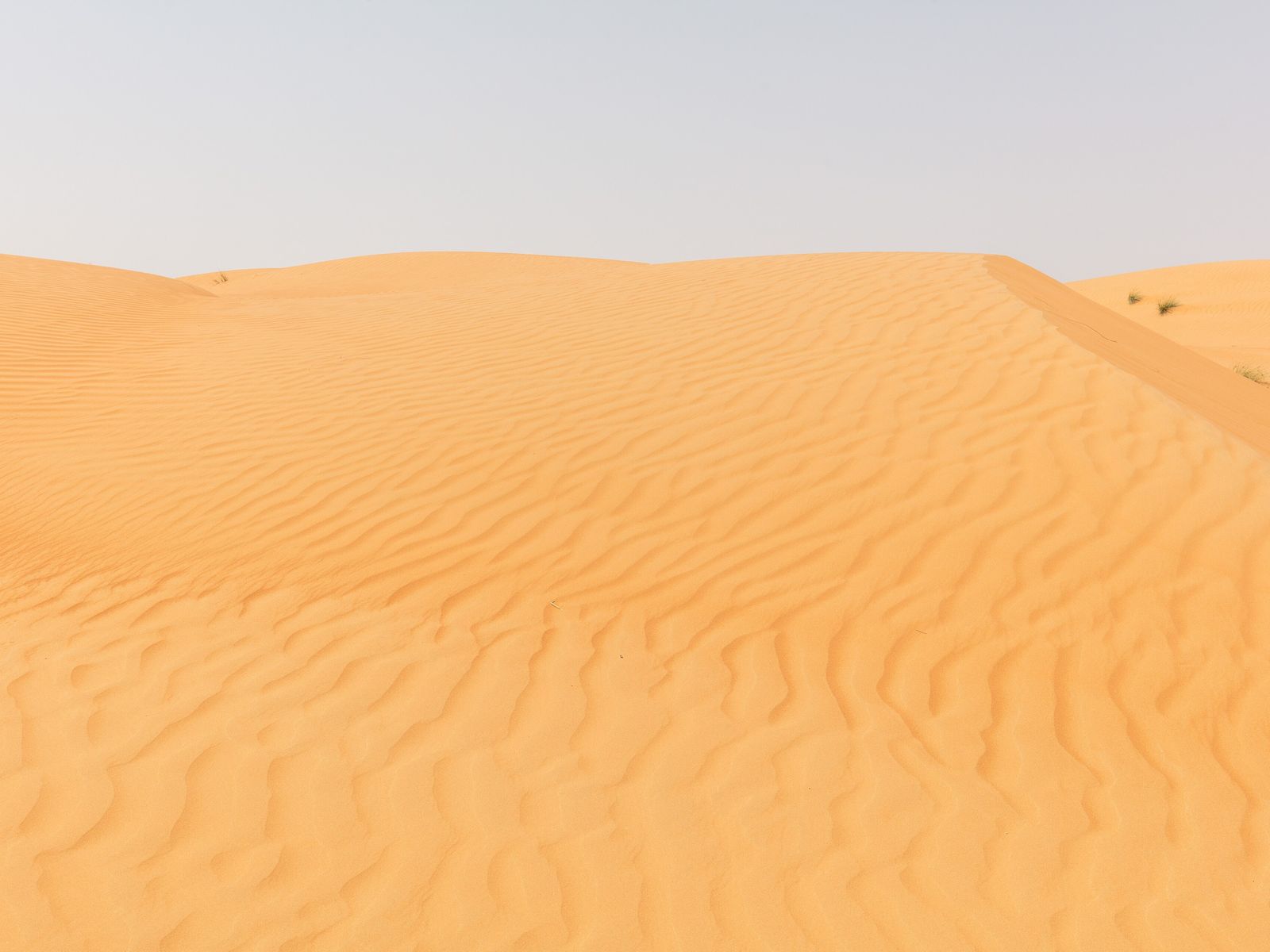 Wahiba Sands