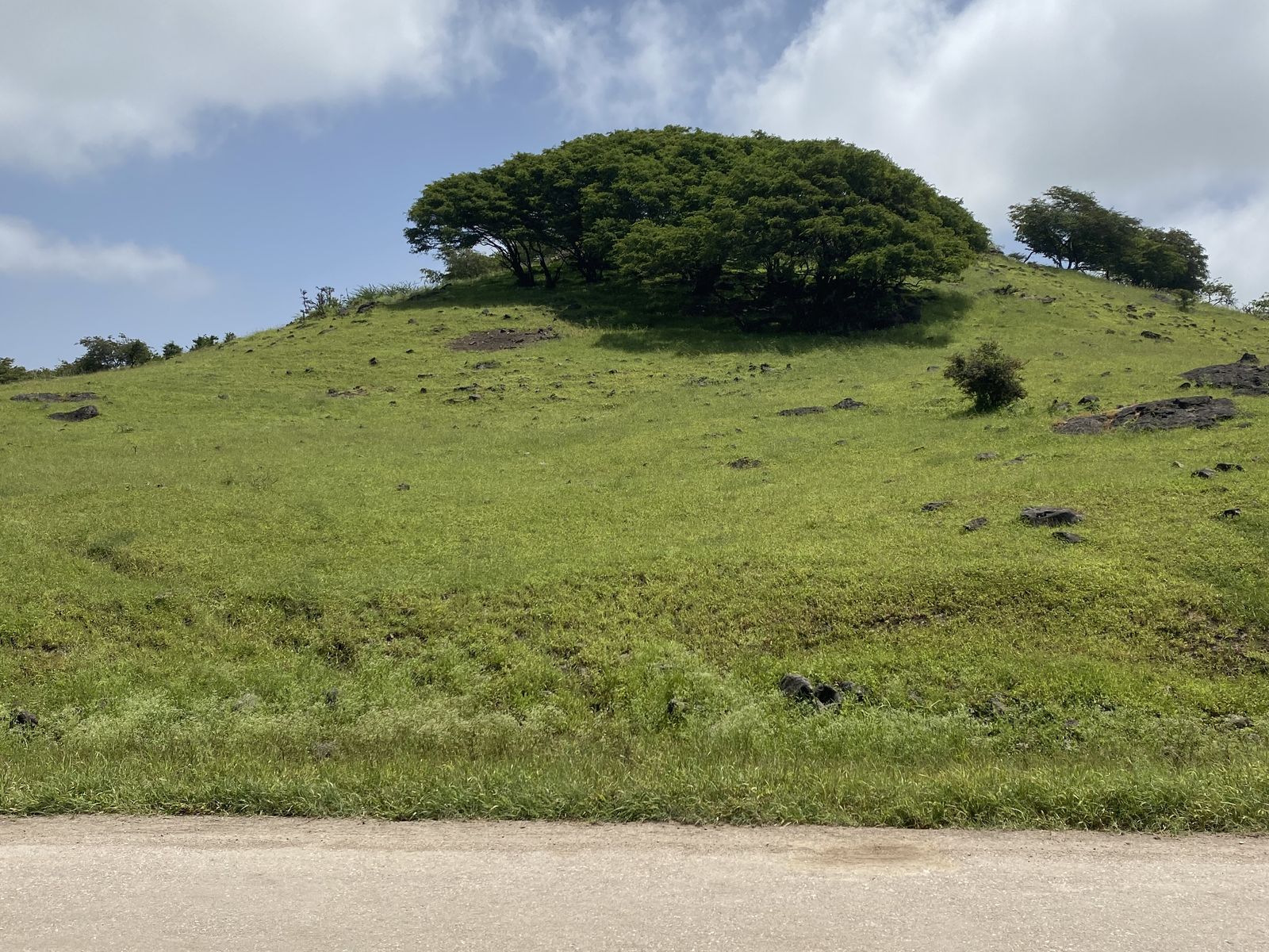 Salalah